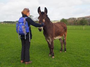 Cawthorne friend