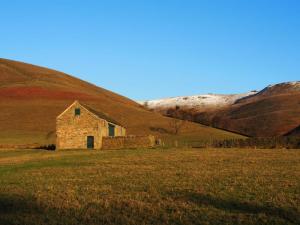 Late Autumn, early Winter