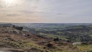 Wintry sunshine