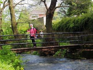 Horatius at the bridge