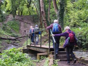 River crossing in the glen