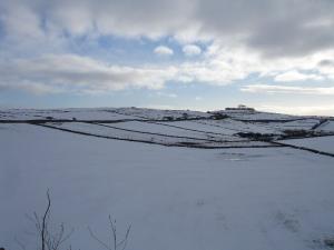 Winter landscape
