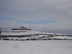 Winter wonderland