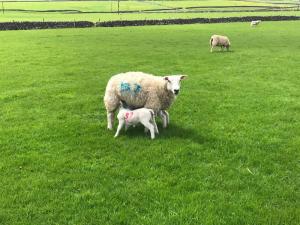 Feeding time