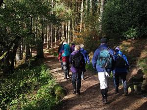 Along Langsett Bank