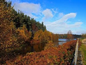 Langsett Reservoir from Thickwoods