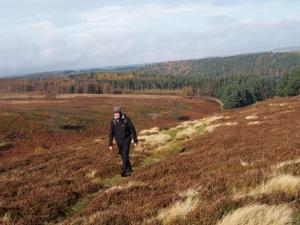 Alone on Midhope Moors