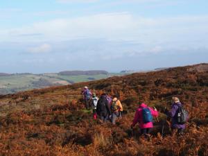 Moorland plod