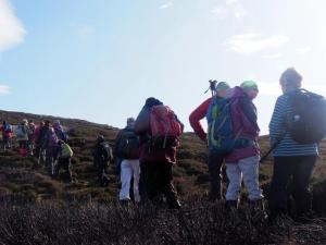 Nearing Pike Low
