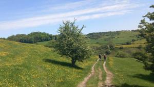 A lovely landscape