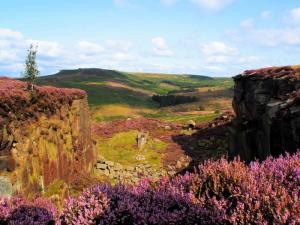 Disused quarry, Burbage
