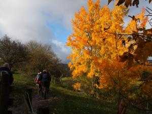 Cracking Autumn colour