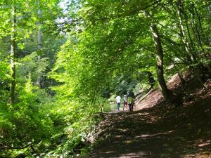 Japanese in Porter Clough