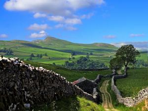 Towards Stainforth