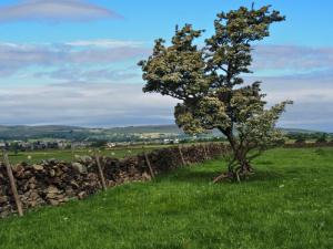 North towards Laneshaw Bridge
