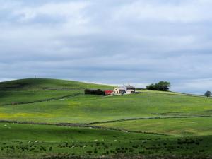Walton's Monument above isolated farm