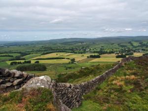 Wall at High Bark