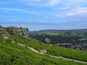 Back to Cow and Calf