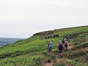 Winding their weary way