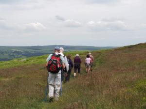 Last turn before Cow and Calf