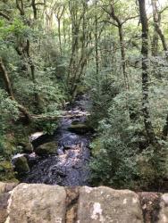 Babbling brook
