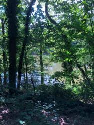 A glimpse of the lake