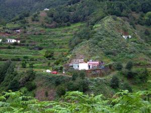 Terraced farming in the Teno mountains