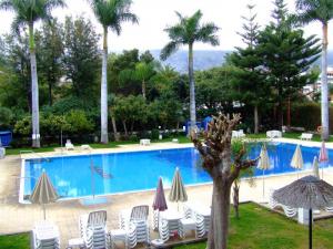 The pool