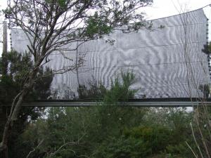 Water catchment from trees