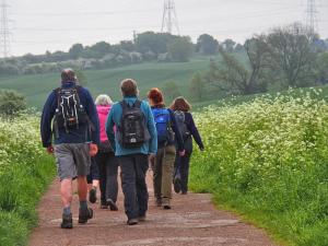 SE on Doles Lane