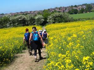 Through gold to Whiston