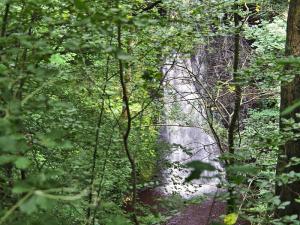 Falling Foss