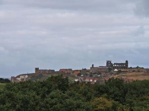 Church and Abbey