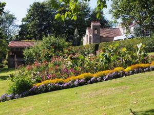 Garden near Groves Hall
