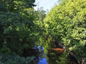Reflections in the Esk, Sleights