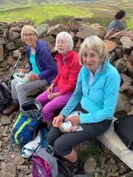 Three lovely ladies in "the nest"