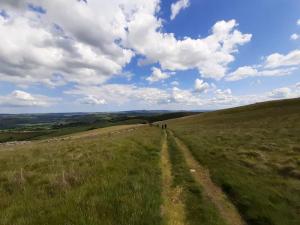 Wooler wilderness