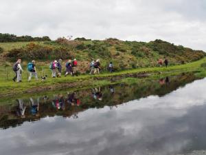 Passing Small Lake