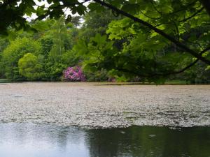 Lower Swinhoe Lake