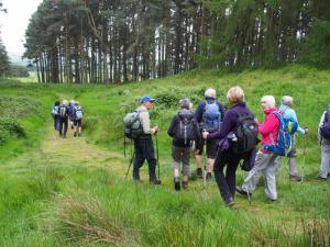 Leaving Cuthbert