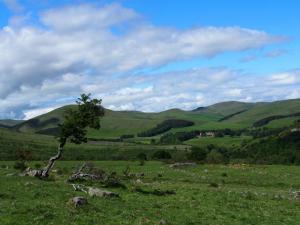 Back to Hethpool