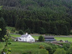 Whitehall, College Valley
