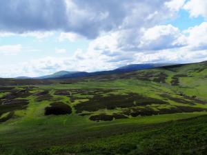 Cheviot charm