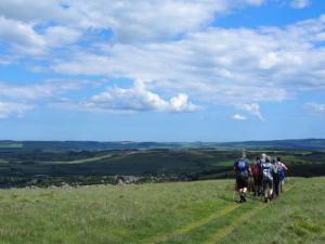 First sighting of Wooler