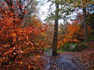 Wyming Brook