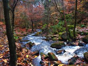 Wyming Brook