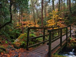 Wyming Brook