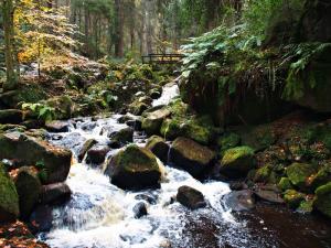 Wyming Brook