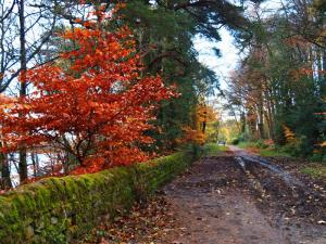 South side of Rivelin Lower Reservoir