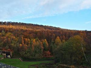 Colours below Rivelin Reservoir